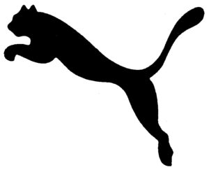 puma cat jumping