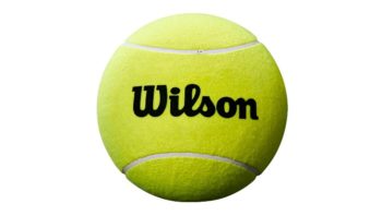 Permalink to: Trademark case: Wilson vs Werwilson
